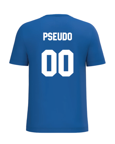 Gascogne Armagnac - Tee Blason bleu dos - Akka Sports