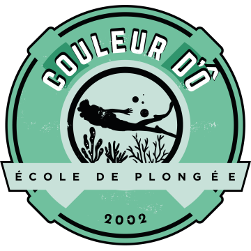 Découvrez la catégorie FEMME de la boutique Couleur d'ô !